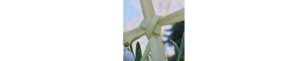 Palm Sunday and Easter