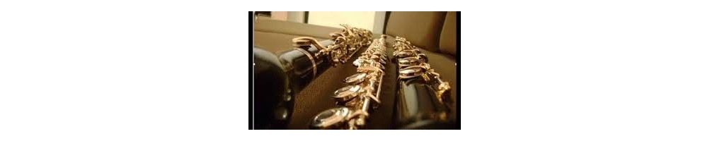 Flute or Oboe